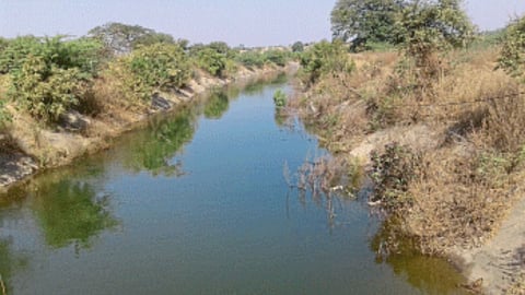 Harnabari Canal