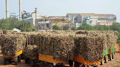 Sugarcane FRP Rate