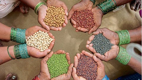 Pulses