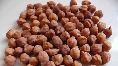 Chana 
