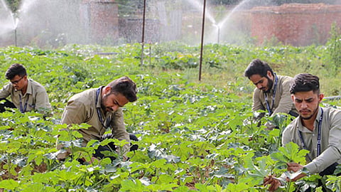Agriculture College 