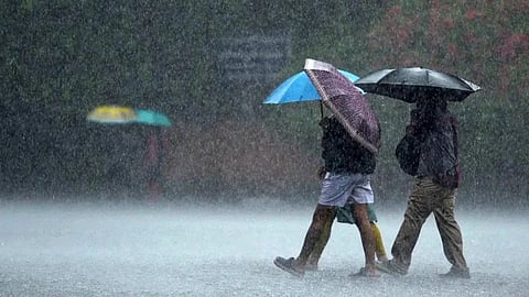 Hail and Unseasonal Rain : नांदेड जिल्ह्यात गारपीट आणि अवकाळीने शेतकऱ्यांच्या हातातोंडाशी आलेला घास हिरावला  
