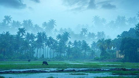 Monsoon Rain