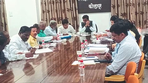 Chandoli Project