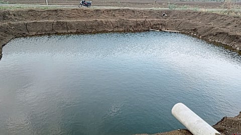 Farmer Pond