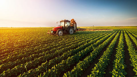 Agriculture 