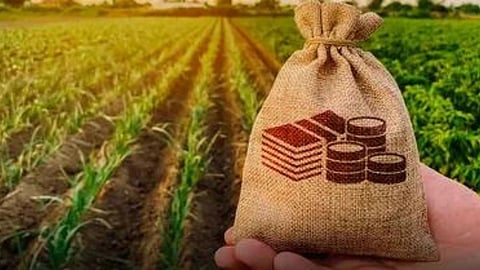 Crop Loan 