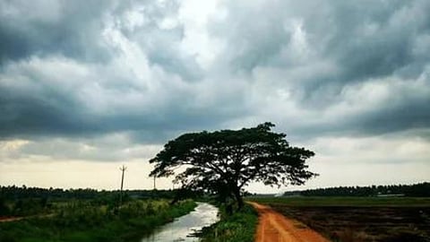 Rain Forecast