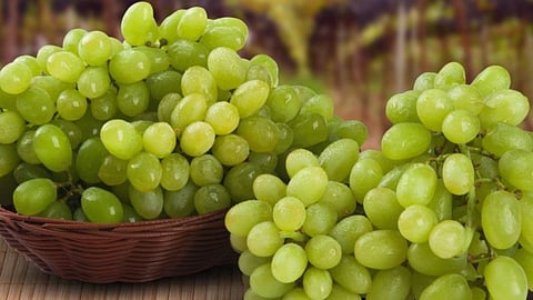 Grape