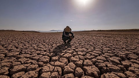 Drought 