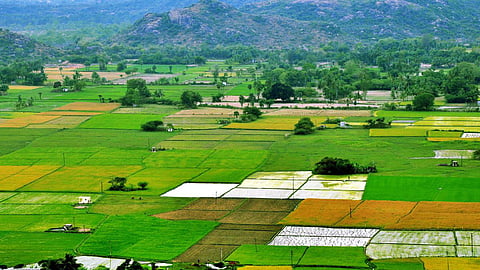 Agriculture Land