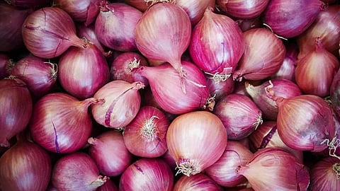 Onion