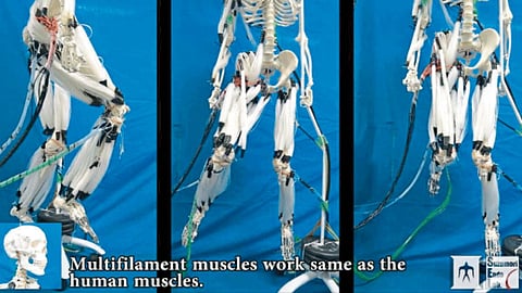 Robot