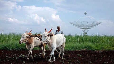 Rabi Sowing 