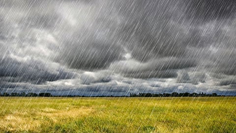 Rain