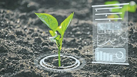 AI For Soil Fertility 
