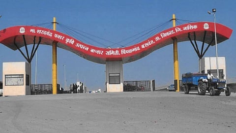 Nashik APMC 