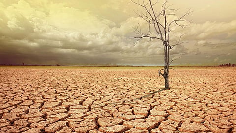 Climate Change