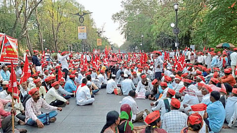 Onion Agitation