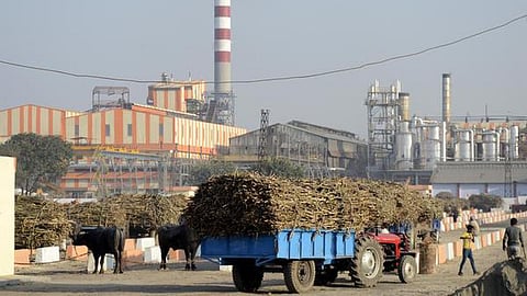 Sugar Mill