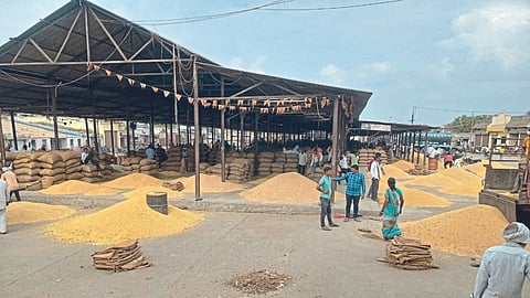 Soybean Rate
