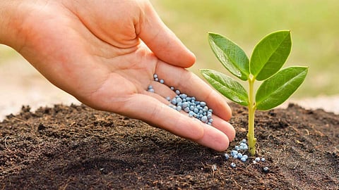 Fertilizer 