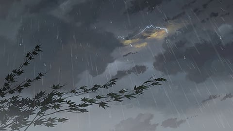 Weather