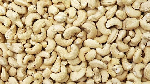 Cashew Rate