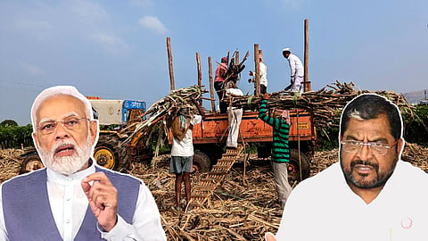 Sugarcane FRP