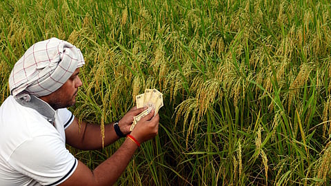 Agriculture Fund