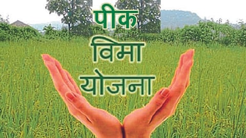Crop Insurance 