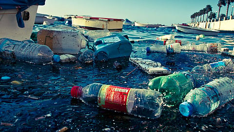 Bioplastic 