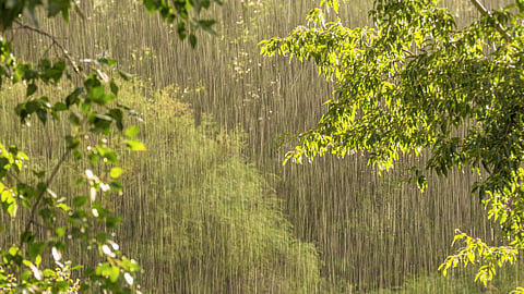 Rain Update 