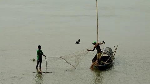 Fisherman