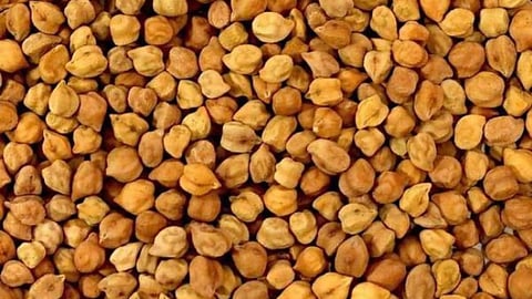 Chana 