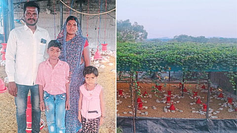 Rode Family and Poultry Farm