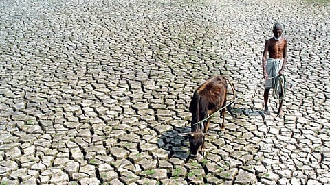 Drought 