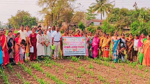 Farmer Seminar