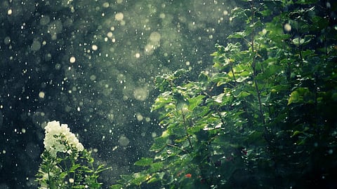 Weekly Weather Update 