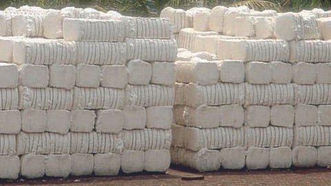 Cotton Bales 