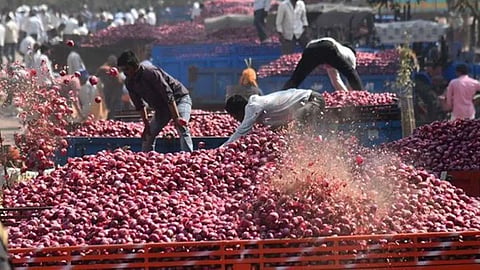 Onion Export
