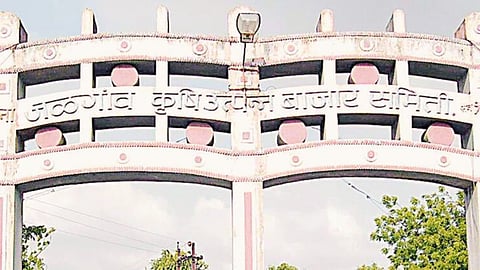 Jalgaon APMC