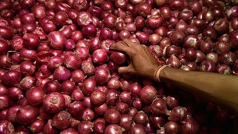 Onion Market
