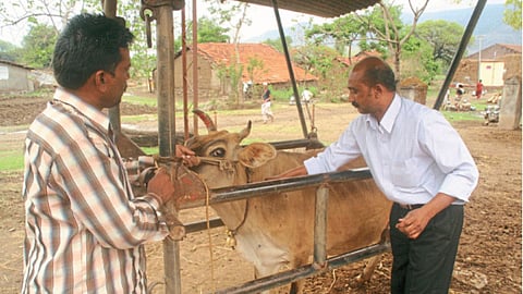 Animal Care