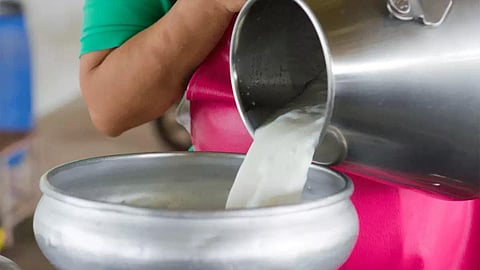 Milk Rate