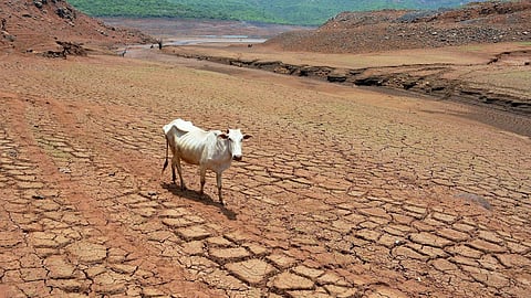 Water Level