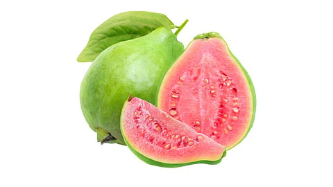 Guava Processing 