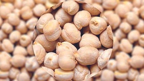 Chana Rate 