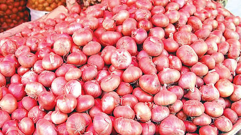 Onion