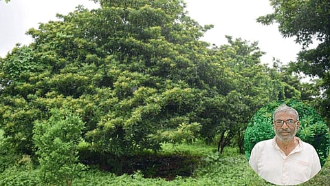 Bhimrao Kadu